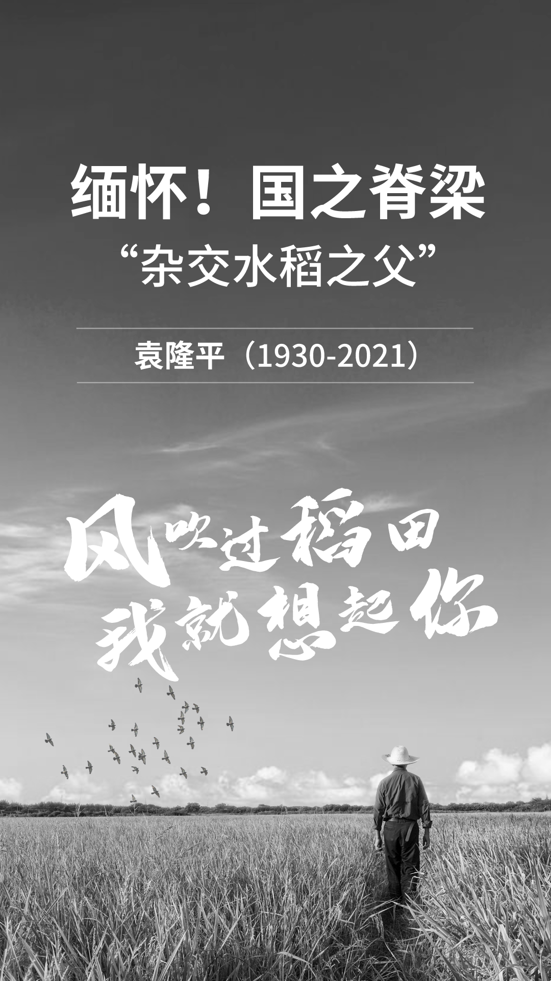 默認文件82.png